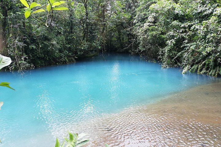 Rio Celeste Waterfall and Sloth Watching Tour from San Jose to Tenorio Park (9/12)