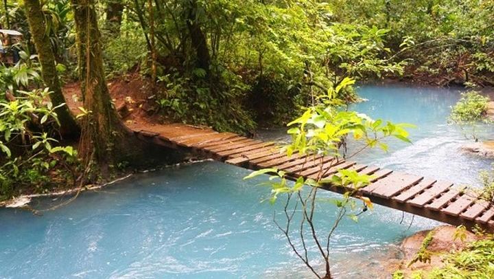 Rio Celeste Hike, Llanos de Cortes Falls and Sloth Sanctuary from Tamarindo (4/12)