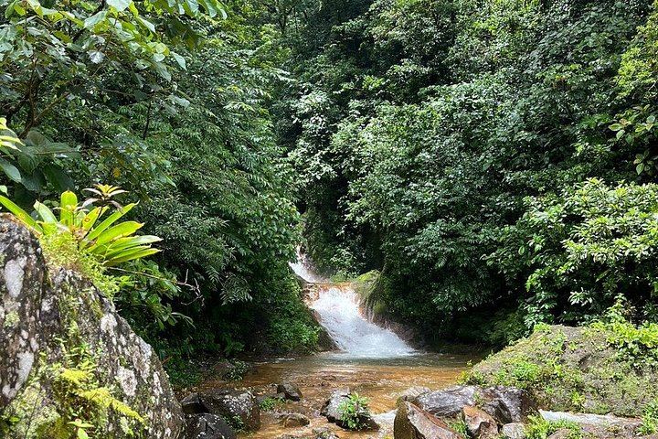 Private Llanos de Cortez, Miravalles Hanging Bridges, Hot Springs and Mud Baths Tour (7/12)