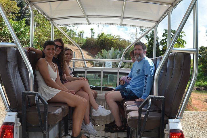 Nauyaca Waterfalls Small-Group Day Trip with Portalon Falls, Playa Linda and Dominical (12/12)