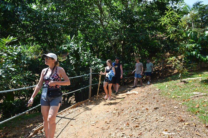 Nauyaca Waterfalls Small-Group Day Trip with Portalon Falls, Playa Linda and Dominical (6/12)