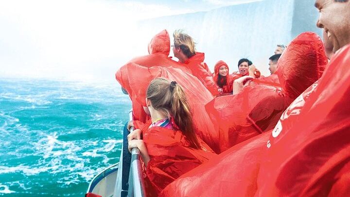 Niagara Falls Day Tour from Toronto with Gray Line, Cruise Ticket and Fallsview Lunch (2/12)