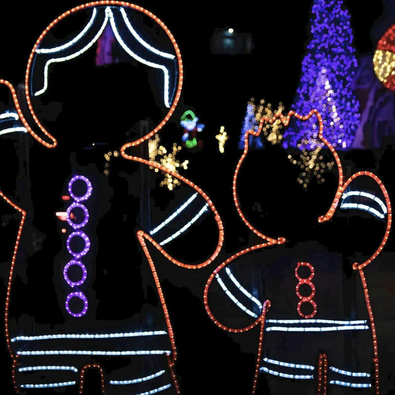Niagara Falls Day and Evening Guided Tour with Attractions and Dinner Packages (10/12)