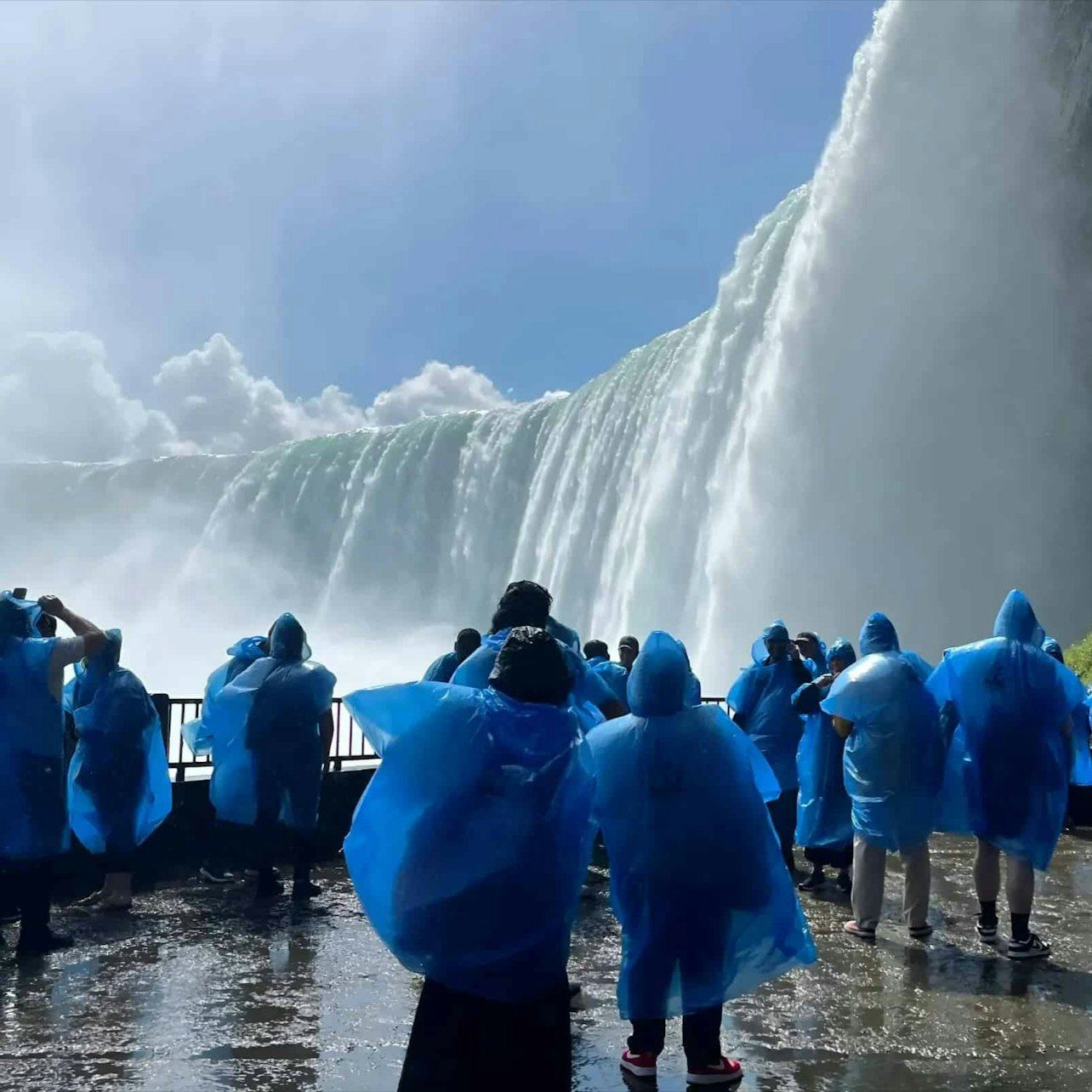 Niagara Falls Day and Evening Guided Tour with Attractions and Dinner Packages (5/12)