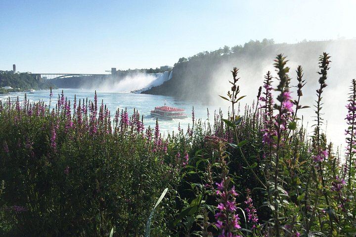 Niagara Falls Day Tour from Toronto Airport Marriott with Priority Boarding and Cruise (7/9)