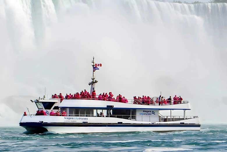Niagara Falls Day Tour from Toronto with Night Light Show and Boat or Dinner Options (12/12)