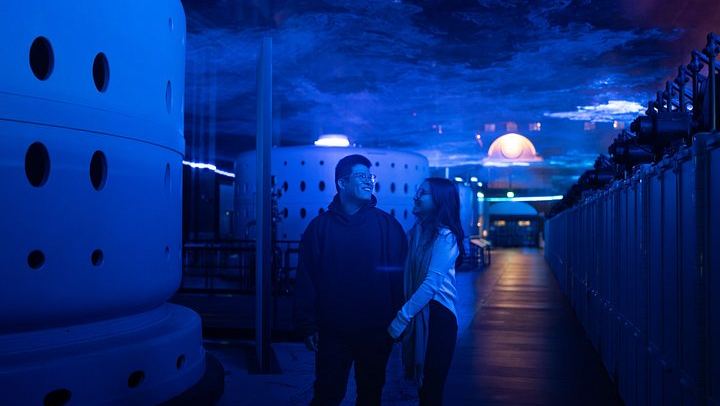 Niagara Falls Small Group Night Tour with Power Station Tunnel, Dinner and Tower (2/12)