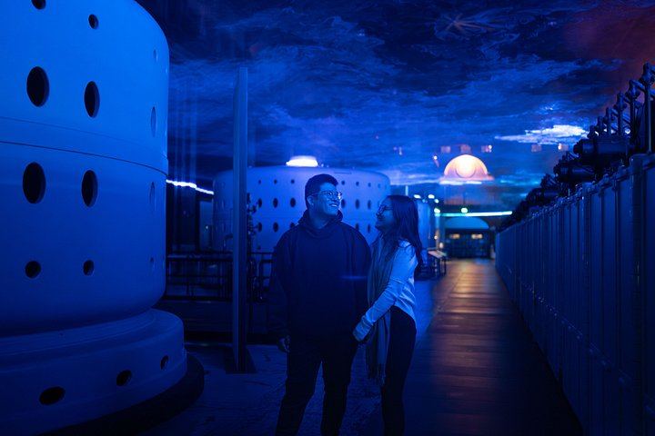 Niagara Falls Small Group Night Tour with Power Station Tunnel, Dinner and Tower (2/12)