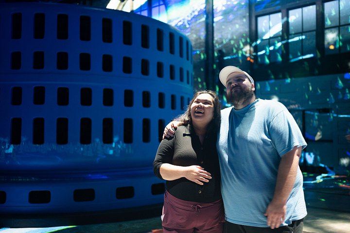 Niagara Falls Small Group Night Tour with Power Station Tunnel, Dinner and Tower (4/12)