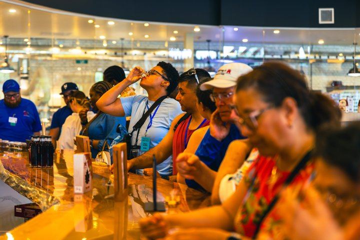 Niagara Falls Two-Country Tour by Over the Falls Tours: Boat, Cave, Skylon Tower (7/12)