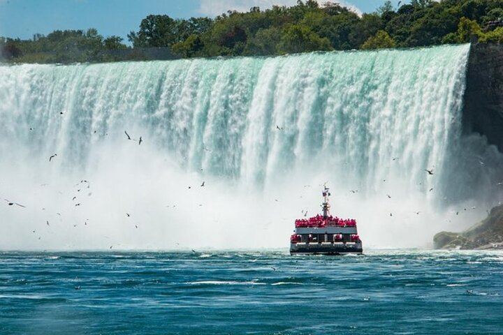 Niagara Falls Day Tour from Toronto with Winery Tasting, Cruise and Three-Course Lunch (5/12)