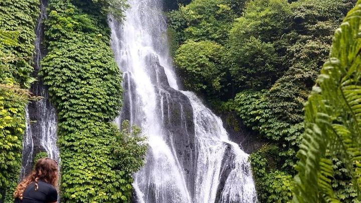 Bratan Temple, Handara Gate, Twin Lakes Viewpoint and Banyumala Waterfall Day Tour (2/9)
