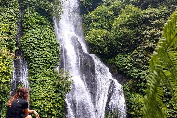 Bratan Temple, Handara Gate, Twin Lakes Viewpoint and Banyumala Waterfall Day Tour (2/9)