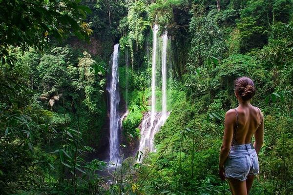 Private North Bali Day: Sekumpul, Fiji Waterfall, Luwak Coffee and Twin Lake Viewpoint