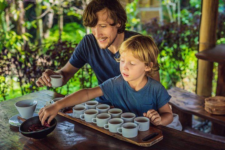 Private North Bali Day: Sekumpul, Fiji Waterfall, Luwak Coffee and Twin Lake Viewpoint (5/12)