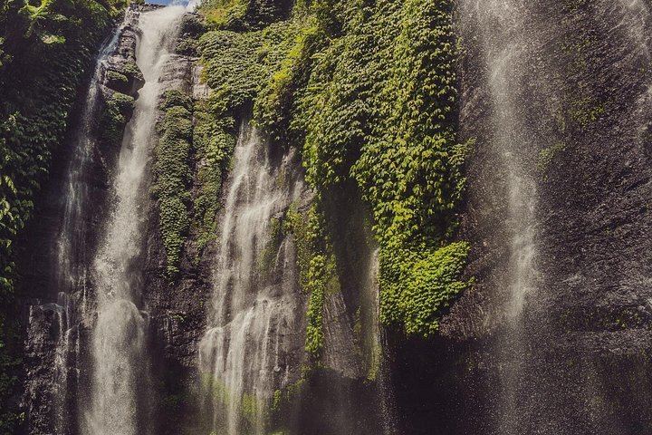 Private North Bali Day: Sekumpul, Fiji Waterfall, Luwak Coffee and Twin Lake Viewpoint (6/12)