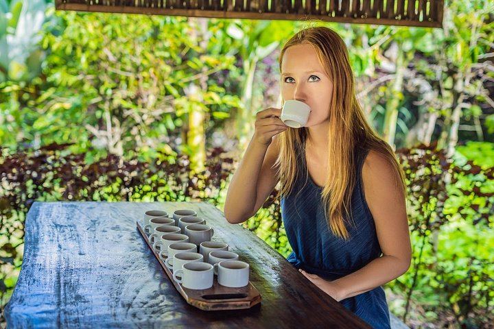Private North Bali Day: Sekumpul, Fiji Waterfall, Luwak Coffee and Twin Lake Viewpoint (10/12)