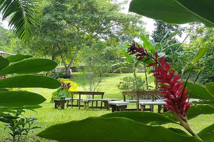 Blue Hole Pools and Reggae Hill River Garden Day Trip from Ocho Rios with Pickup (12/12)
