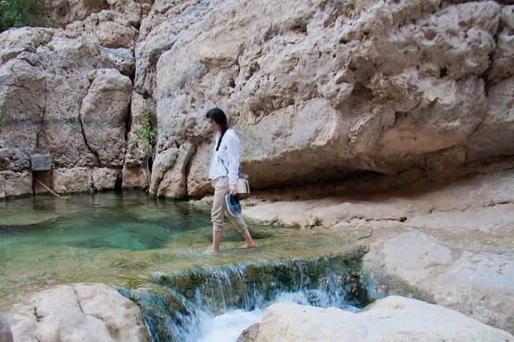 Wadi Shab 4WD Coastal Trek from Muscat via Quriyat, with Quick Sinkhole Photo Stop (2/5)
