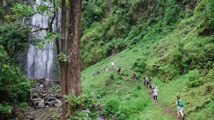 Materuni Waterfall Walk and Chemka Hot Springs Day Trip from Arusha or Moshi (1/9)