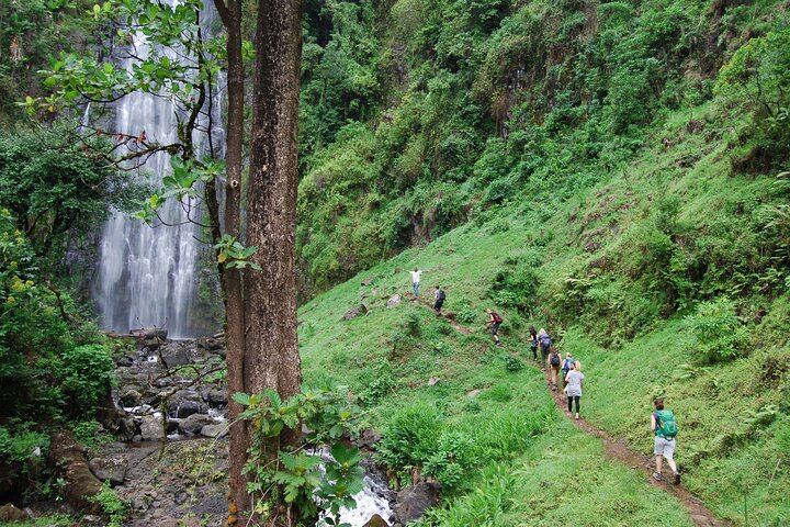 Materuni Waterfall Walk and Chemka Hot Springs Day Trip from Arusha or Moshi (1/9)