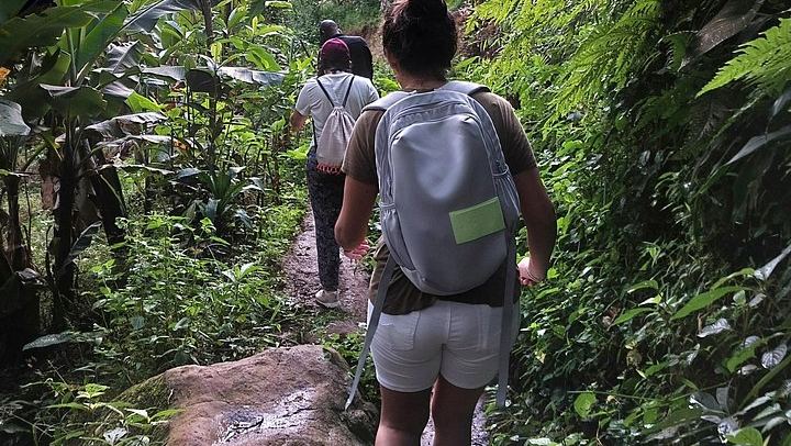 Private Materuni Waterfalls and Coffee Tour with Hot Lunch and Banana Wine Tasting (1/12)