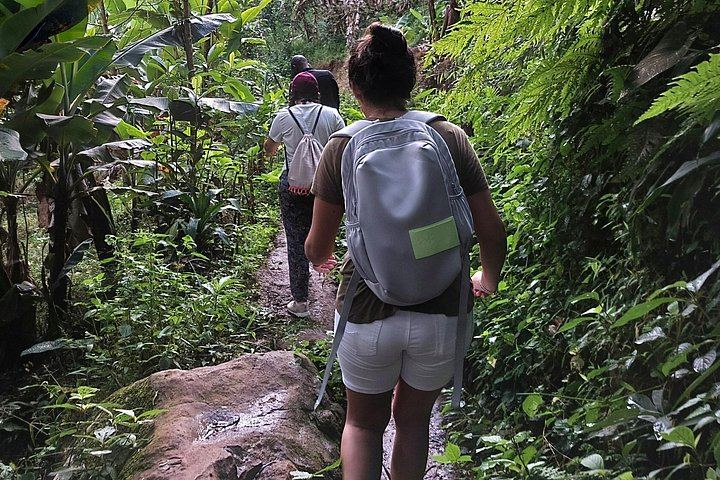Private Materuni Waterfalls and Coffee Tour with Hot Lunch and Banana Wine Tasting (1/12)
