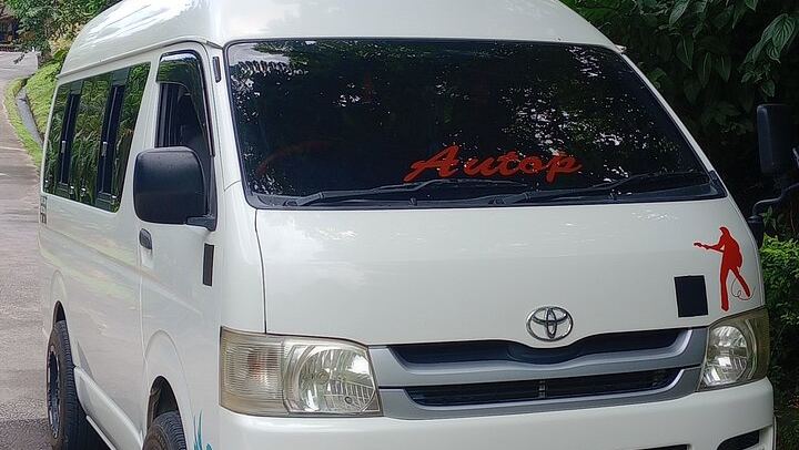 Two-Hour Scenic Drive to Trafalgar Falls and Sulphur Springs with Autop Tours (2/12)