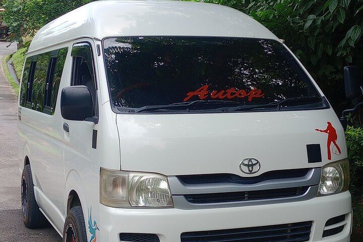 Two-Hour Scenic Drive to Trafalgar Falls and Sulphur Springs with Autop Tours (2/12)