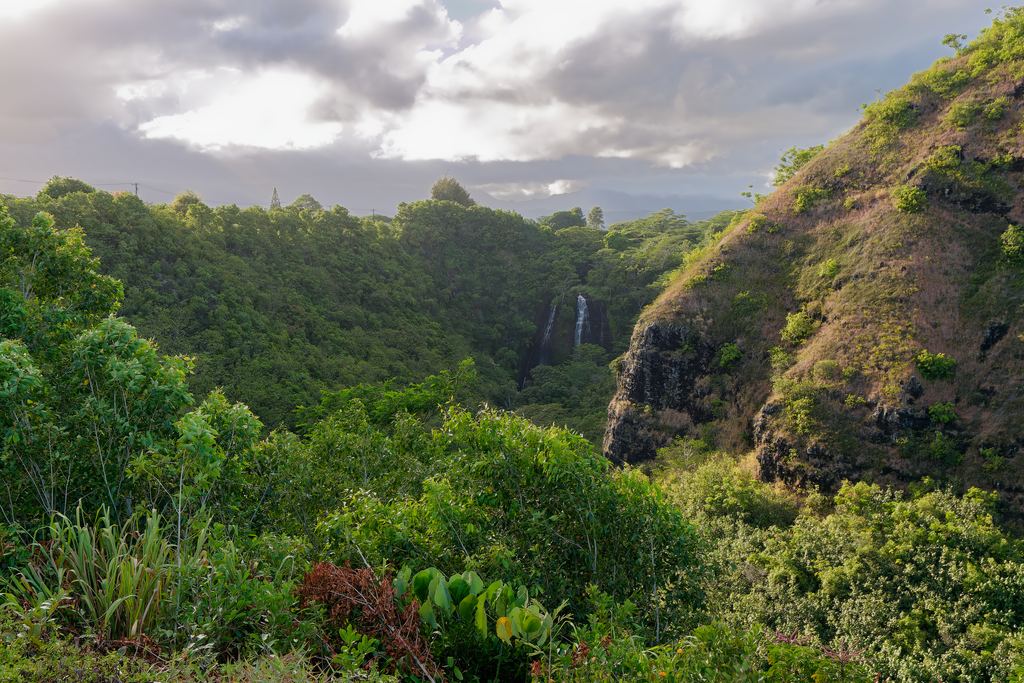 Opaekaa Falls in Wailua River State Park, Kauai, seen from a distance across forest