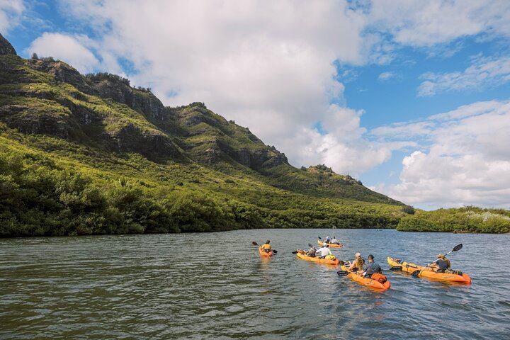 Huleia River Kayak and Hidden Valley Falls Hike from Nawiliwili, Motorized Canoe Return (3/8)