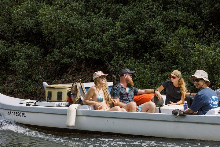 Huleia River Kayak and Hidden Valley Falls Hike from Nawiliwili, Motorized Canoe Return (8/8)