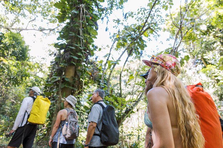 Huleia River Kayak and Hidden Valley Falls Hike from Nawiliwili, Motorized Canoe Return (4/8)