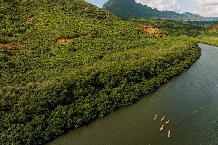 Huleia River Kayak and Hidden Valley Falls Hike from Nawiliwili, Motorized Canoe Return (5/8)