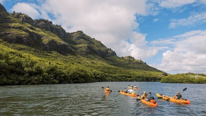 Huleia River Kayak and Hidden Valley Falls Hike from Nawiliwili, Motorized Canoe Return (3/8)