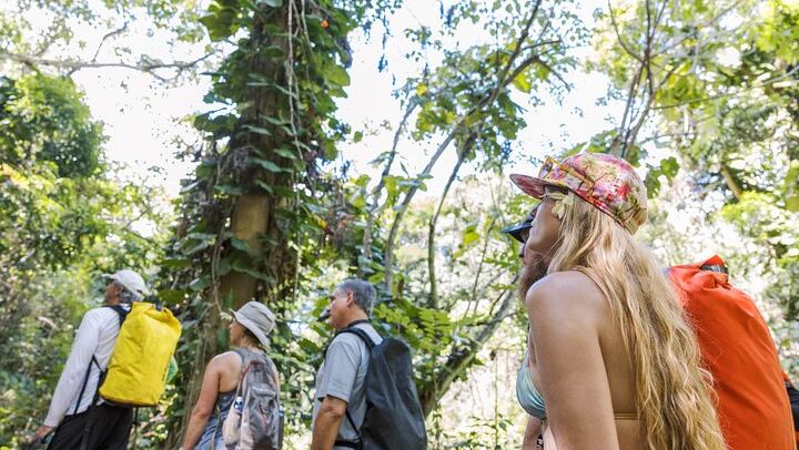 Huleia River Kayak and Hidden Valley Falls Hike from Nawiliwili, Motorized Canoe Return (4/8)