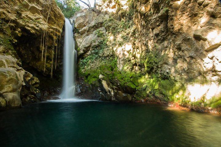 Private Rincon de la Vieja Hike and Oropendola Waterfall Swim with Hotel Pickup (4/7)