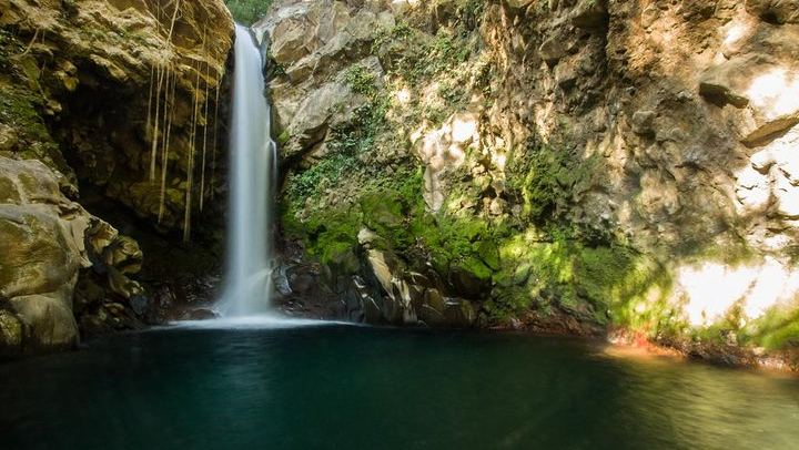 Private Rincon de la Vieja Hike and Oropendola Waterfall Swim with Hotel Pickup (4/7)