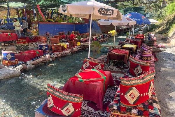 Ourika Valley Day Trip from Marrakech: Private or Shared Waterfall Hike and Artisans