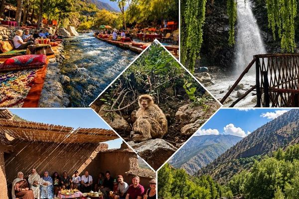 Ourika Valley Day Trip from Marrakech: Argan Breakfast, Optional Waterfall Hike, Lunch