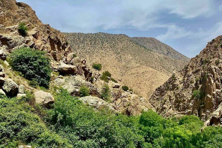 Ourika Valley Day Trip from Marrakech: Argan Breakfast, Optional Waterfall Hike, Lunch (12/12)