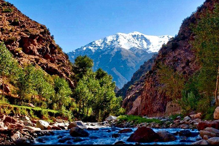 Ourika Valley Day Trip from Marrakech: Argan Breakfast, Optional Waterfall Hike, Lunch (5/12)