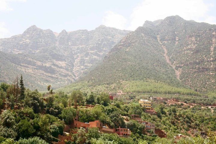 Ourika Valley Day Trip from Marrakech: Argan Breakfast, Optional Waterfall Hike, Lunch (8/12)