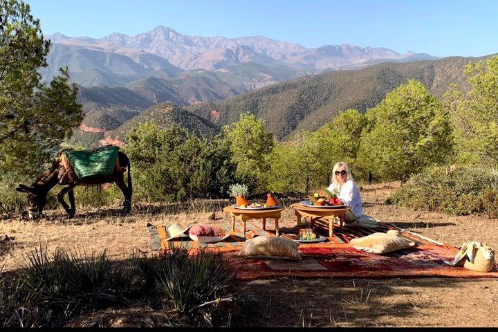 Small Group Ourika Valley Waterfalls Hike with Women-Run Argan Cooperative and Lunch (1/12)