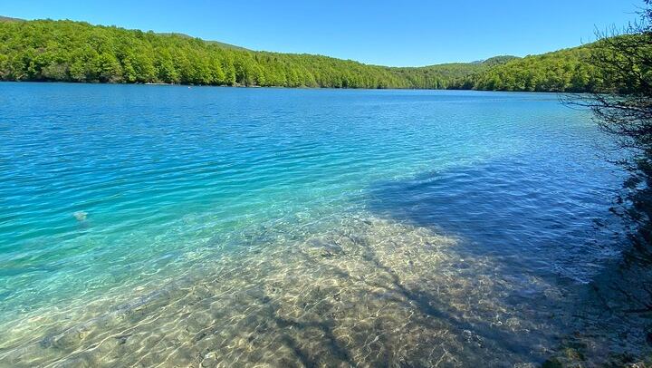Plitvice Lakes Private Tour with Licensed Driver-Guide in a Blue Van from Zadar (4/8)