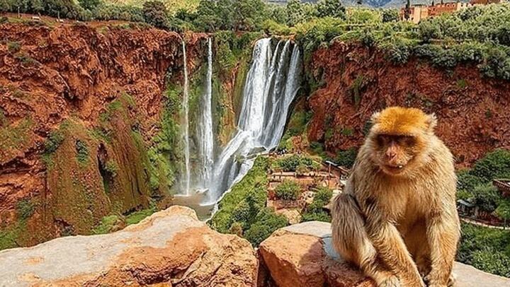 Ouzoud Waterfalls Guided Day Tour with Boat Ride, Small Group from Marrakech (4/7)