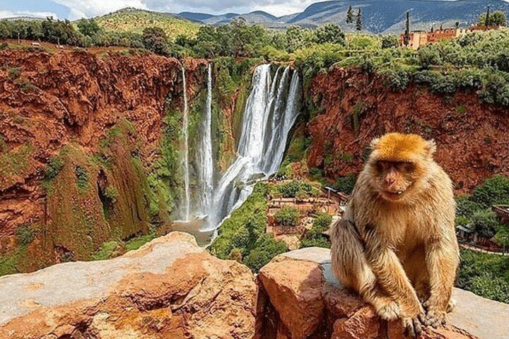 Ouzoud Waterfalls Guided Day Tour with Boat Ride, Small Group from Marrakech (4/7)