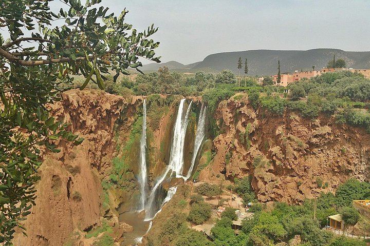 Ouzoud Waterfall and Middle Atlas Full-Day Tour with Guided Village Hike (8/8)