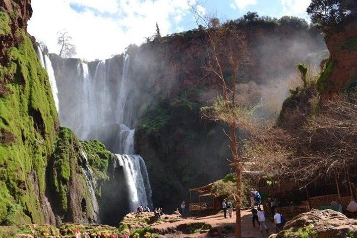 Ouzoud Waterfall and Middle Atlas Full-Day Tour with Guided Village Hike (5/8)