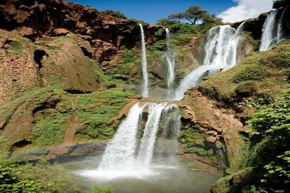 Ouzoud Waterfalls Day Trip from Marrakech with English-Speaking Guide, Azilal Province (5/6)